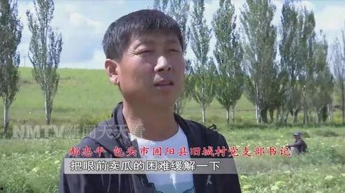 娱乐吃瓜老王是谁的小说