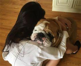 女性与狗狗爱爱视频