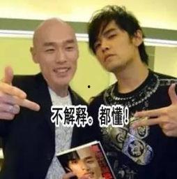 中国男优Av,魅力与才华并存的演艺新星