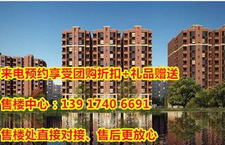 肥城碧桂园爆料最新消息,揭秘项目进展与未来规划