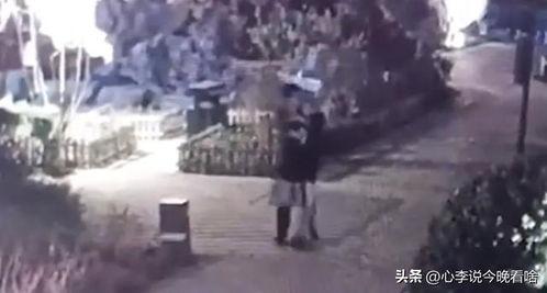 吃瓜爆料深圳视频完整版,吃瓜爆料视频完整版深度解析