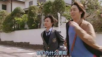 日剧日本人,日剧中的真实生活画卷