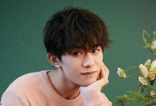 最火男明星组合,揭秘最火男明星组合的辉煌历程