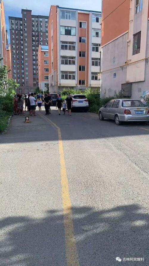 吉林市爆料最新,最新爆料揭示惊人真相