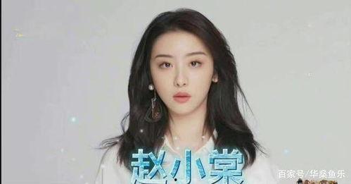 娱乐吃瓜赵小,娱乐吃瓜界的风云人物